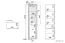 Vitrine Nogales 06, kleur: Sonoma eiken licht/donker - afmetingen: 202 x 55 x 41 cm (h x b x d), met 2 deuren, 1 lade en 5 vakken